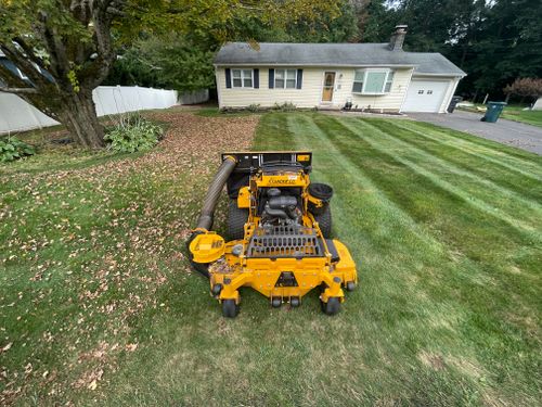 Fall Clean Up for Blades of Glory LLC in Cheshire, CT