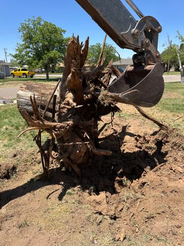 Stump Removal for Compas Cleanup in McCamey, TX