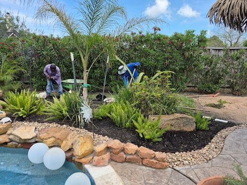 Landscaping for Texas Lawn & Sprinkler Co. in Houston, TX