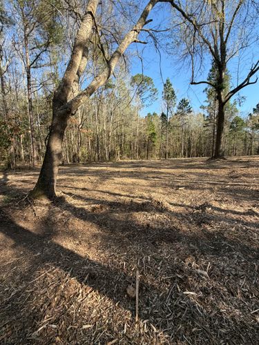  for 903 Mulching in East Mountain, TX