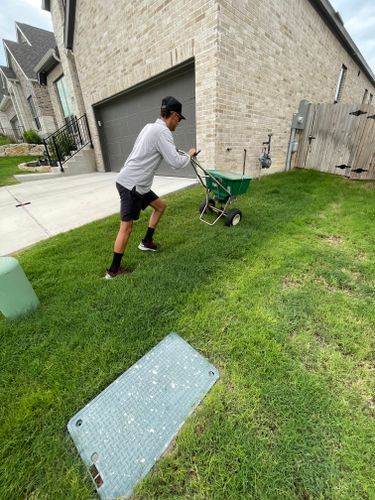 Fertilization for Alamo Turf Works in San Antonio, TX