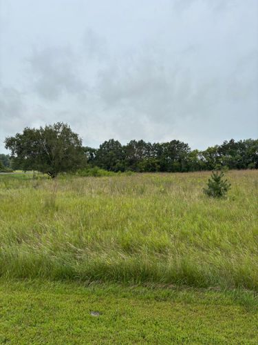  for Root Land Management in Watkins, MN