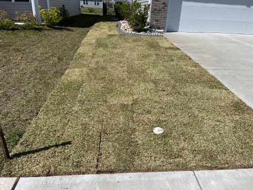 All Photos for New Creation Landscaping in Myrtle Beach, SC