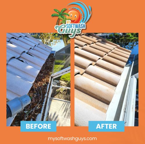 Roof Cleaning for My Softwash Guys in Venice, FL