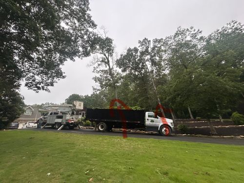 Emergency Tree Services for Chipper's Tree Service  in Fort Payne, AL