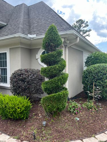 All Photos for New Creation Landscaping in Myrtle Beach, SC