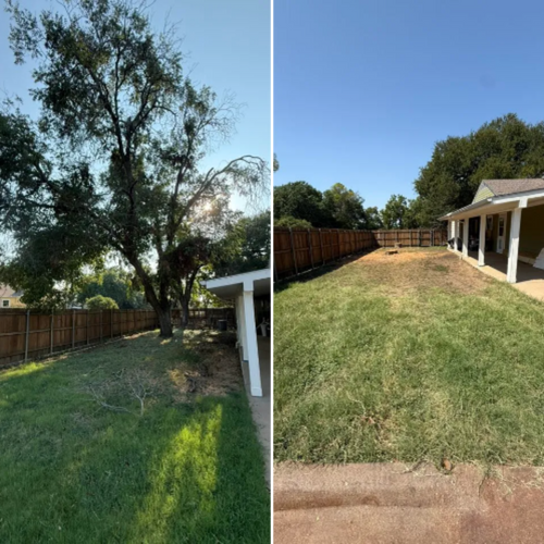 Tree Removal for Blu-J Tree Care in Arlington, TX