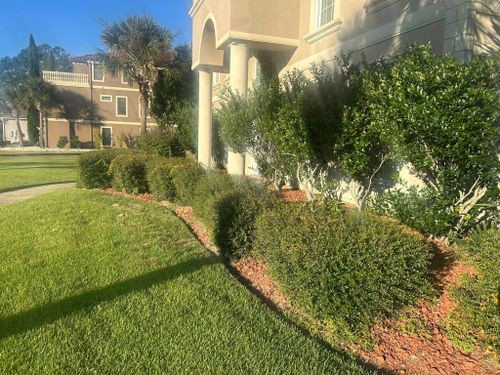 All Photos for New Creation Landscaping in Myrtle Beach, SC