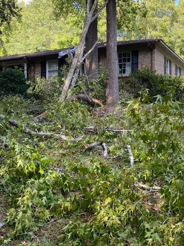 All Photos for DuBose Outdoor Services in Sumter, SC