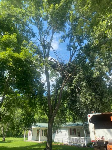 Tree Removal for Atwood’s Tree Care in Liberty,  KY