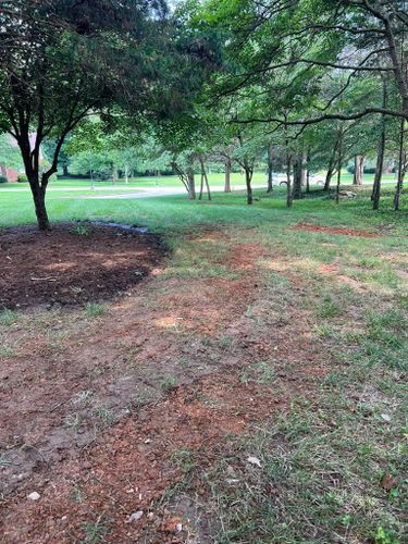  for Full Service Landscaping in Louisville, KY