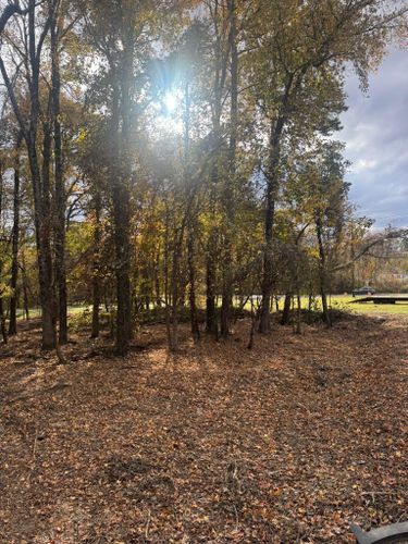  for Southern Turf & Landscape in Concord, NC