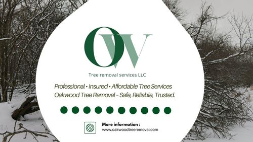  for Oakwood Tree Removal LLC in Oak Creek,  WI