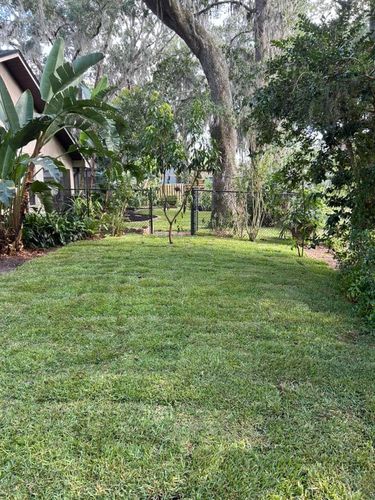 All Photos for Estrada All Pro Lawn Service in Auburndale, Florida