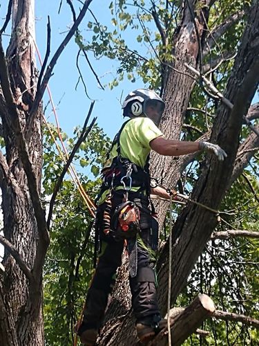 Commercial snow plowing services for TH Property Service, LLC in Manlius, NY