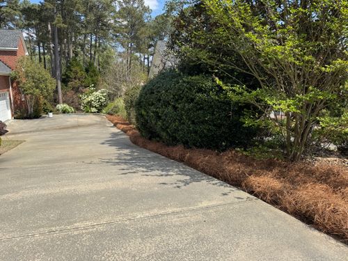 All Photos for Myles Mows in Augusta, GA
