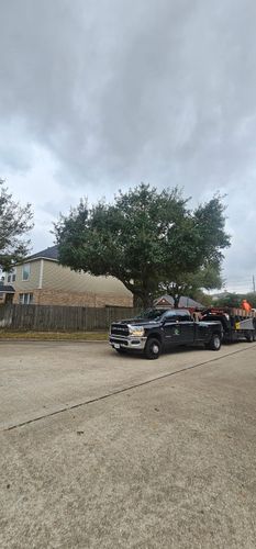  for Servin's Tree Care  in Houston, TX