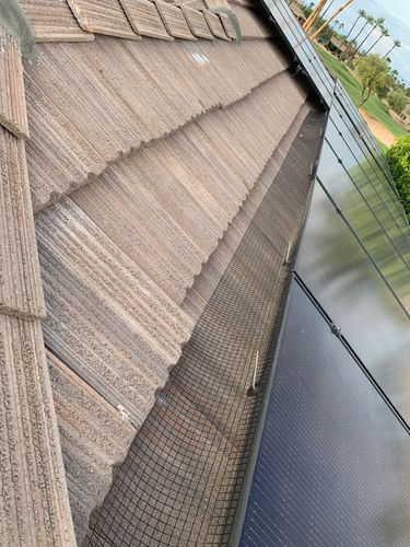 Bird Proofing for Olson & Sons Contracting in Mesa, AZ