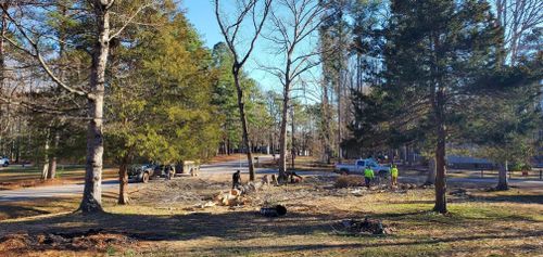 Tree Removal for Rosales Landscaping LLC in Lake Gaston, North Carolina