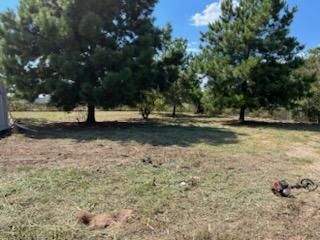 Lawn Maintenance for Oviedo Land & Garden in Bastrop, TX