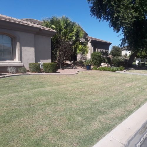 Sod Install for CRAJE Landscaping LLC in Mesa, AZ