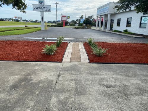 All Photos for New Creation Landscaping in Myrtle Beach, SC