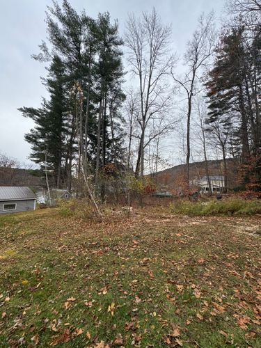  for Clifford’s Quality Tree Care & Landscaping in Enfield, NH