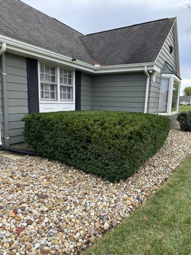 Shrub Trimming for OT Lawn and Landscaping LLC in Carey, OH