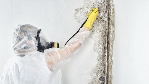 Commercial Mold Removal for Titan Remediation Industries in West Palm Beach, FL