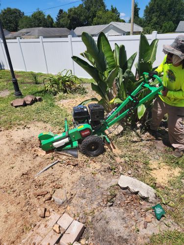 All Photos for Highlife Tree Care And Landscaping in Altamonte Springs, FL