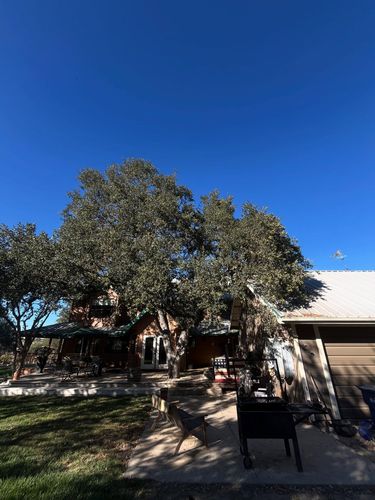 Tree Removal for A1 Junk & Tree Solutions, LLC in Paso Robles, CA