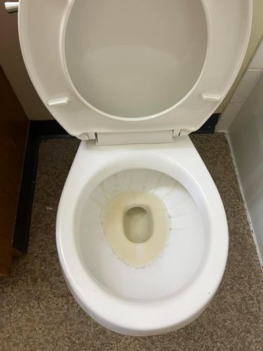  for The Domestic Goddess in Wisconsin Rapids, WI