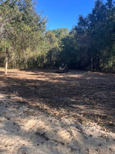 Stump Grinding and Removal for Pinewood Land Management LLC in Nashville, GA