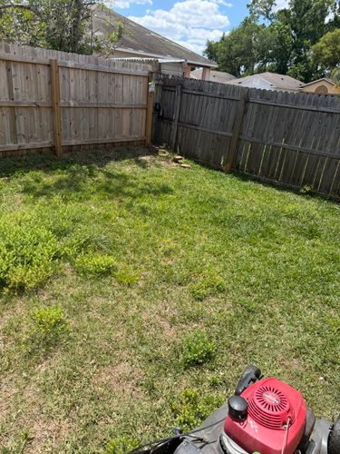 Lawn Maintenance for The Yardman in Tampa, FL