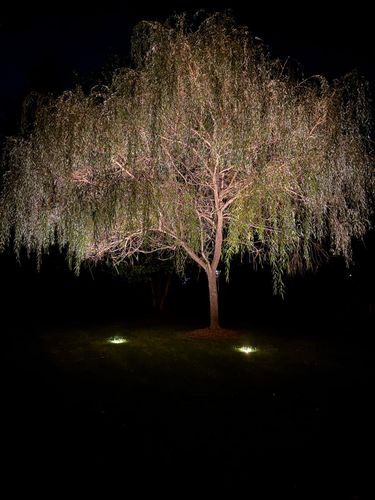 All Photos for Unique Outdoor Lighting in Short Hills, NJ