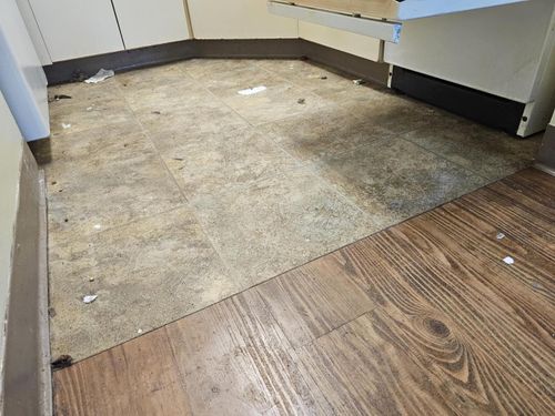  for The Domestic Goddess in Wisconsin Rapids, WI