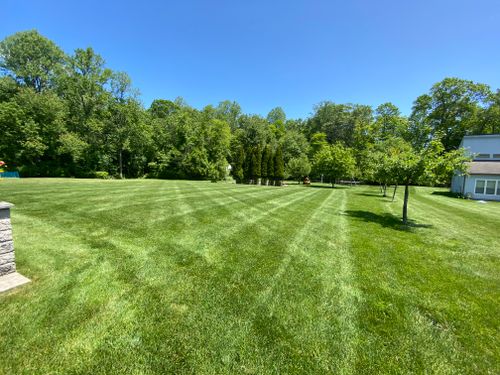 Lawn Maintenance  for Ace Landscaping in Trumbull, CT