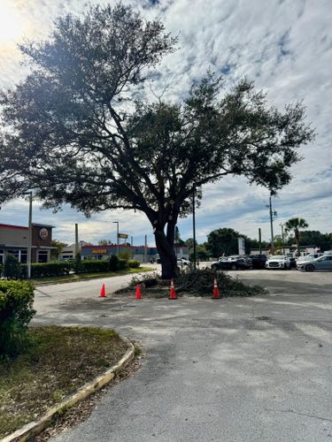 Demolition for Shoreside Property Services in Apollo Beach, FL