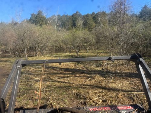 Land Clearing for Barkers Outdoor Services in Hamilton, OH