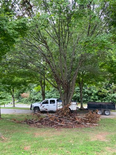 Fall and Spring Clean Up for Atwood’s Tree Care in Liberty,  KY