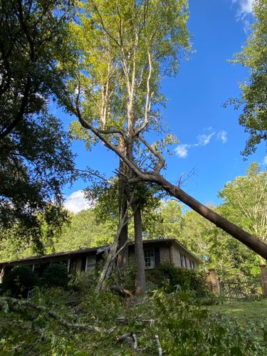 All Photos for DuBose Outdoor Services in Sumter, SC