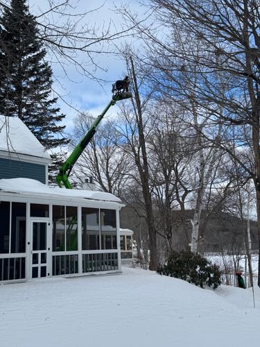  for Clifford’s Quality Tree Care & Landscaping in Enfield, NH