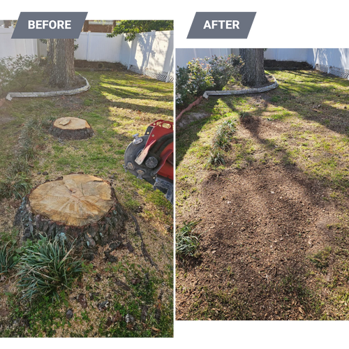 Stump Grinding for Anchor & Grind Stump in Chesapeake, VA