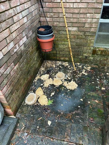 Pest Control for Winecoff Pest Control in Salisbury, NC