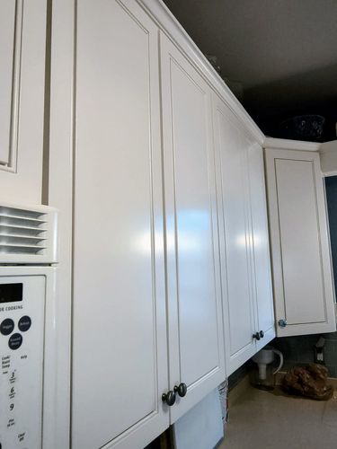  for Eagle Five Stars Painting in Brazos Valley, TX