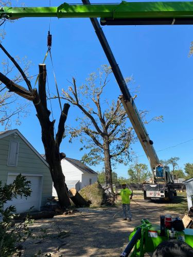 Tree Removal for Allstate Tree Service in Fridley, MN