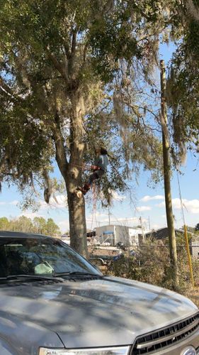 All Photos for All Seasons Tree and Land Works in Trenton, FL