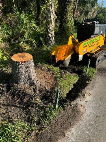 Stump Removal for Ryker's Tree Service in Dunedin, FL