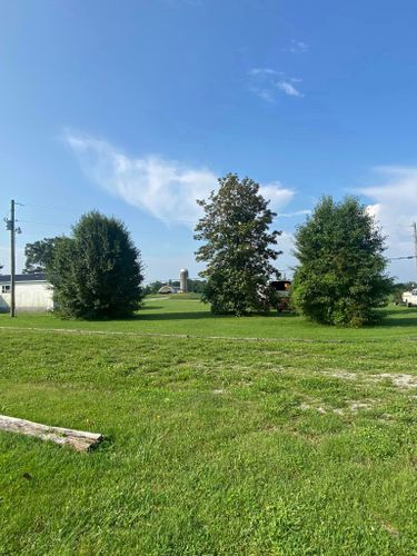 Tree Removal for Atwood’s Tree Care in Liberty,  KY