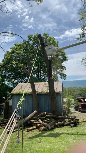 All Photos for Gray's Tree Service  in Shenandoah County, VA